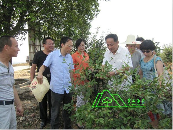江西省油茶辦主任、工程師孫勇、省科技廳農(nóng)村工作處副處長、副調(diào)研員尹伊等基地指導工作